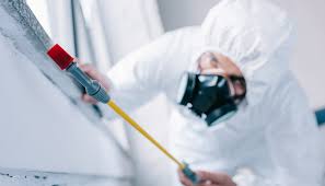 Best Fumigation Services  in Champlin, MN